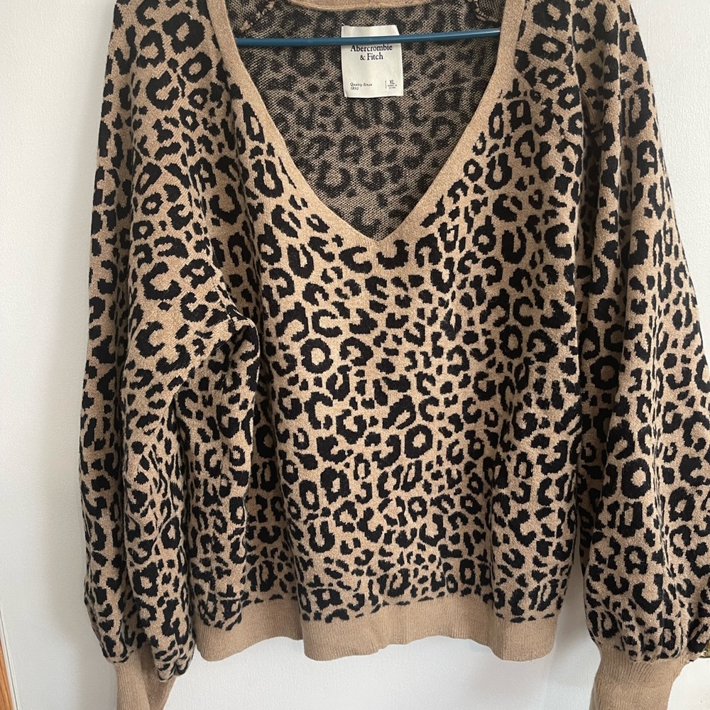 Beautiful Cheetah Sweater